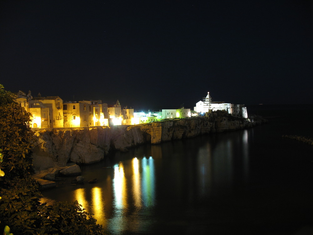 Vieste by night