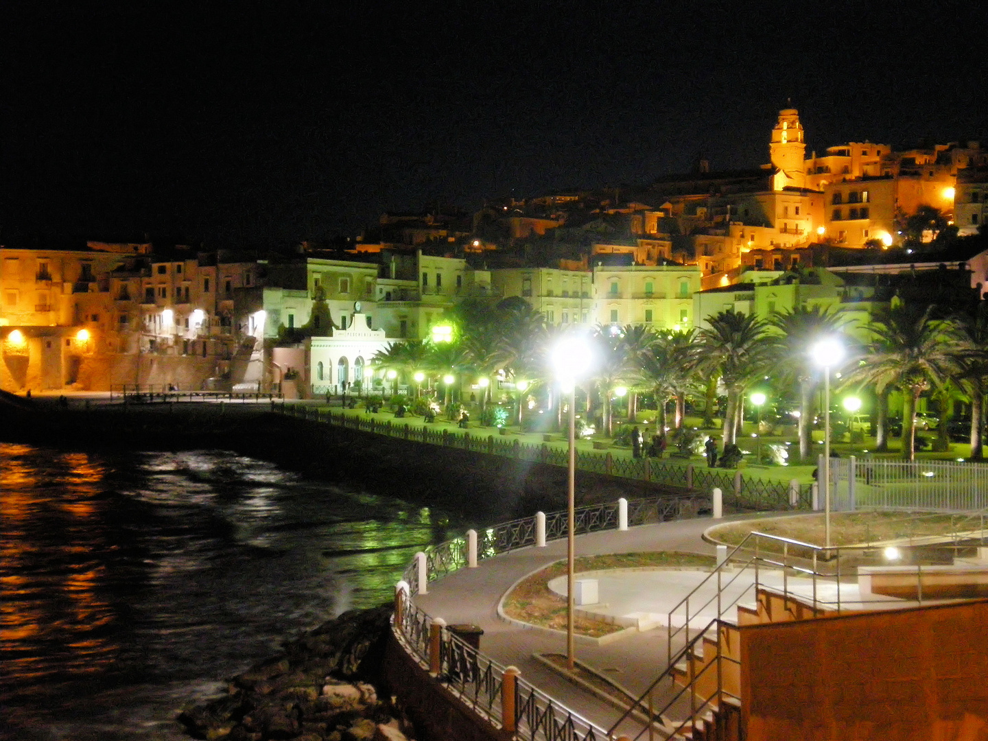 Vieste by Night