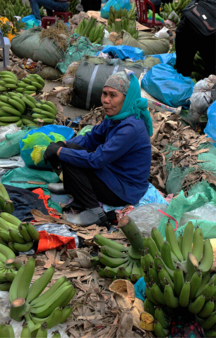 VIET NAM HALONG La marchande de fruits