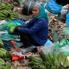 VIET NAM HALONG La marchande de fruits