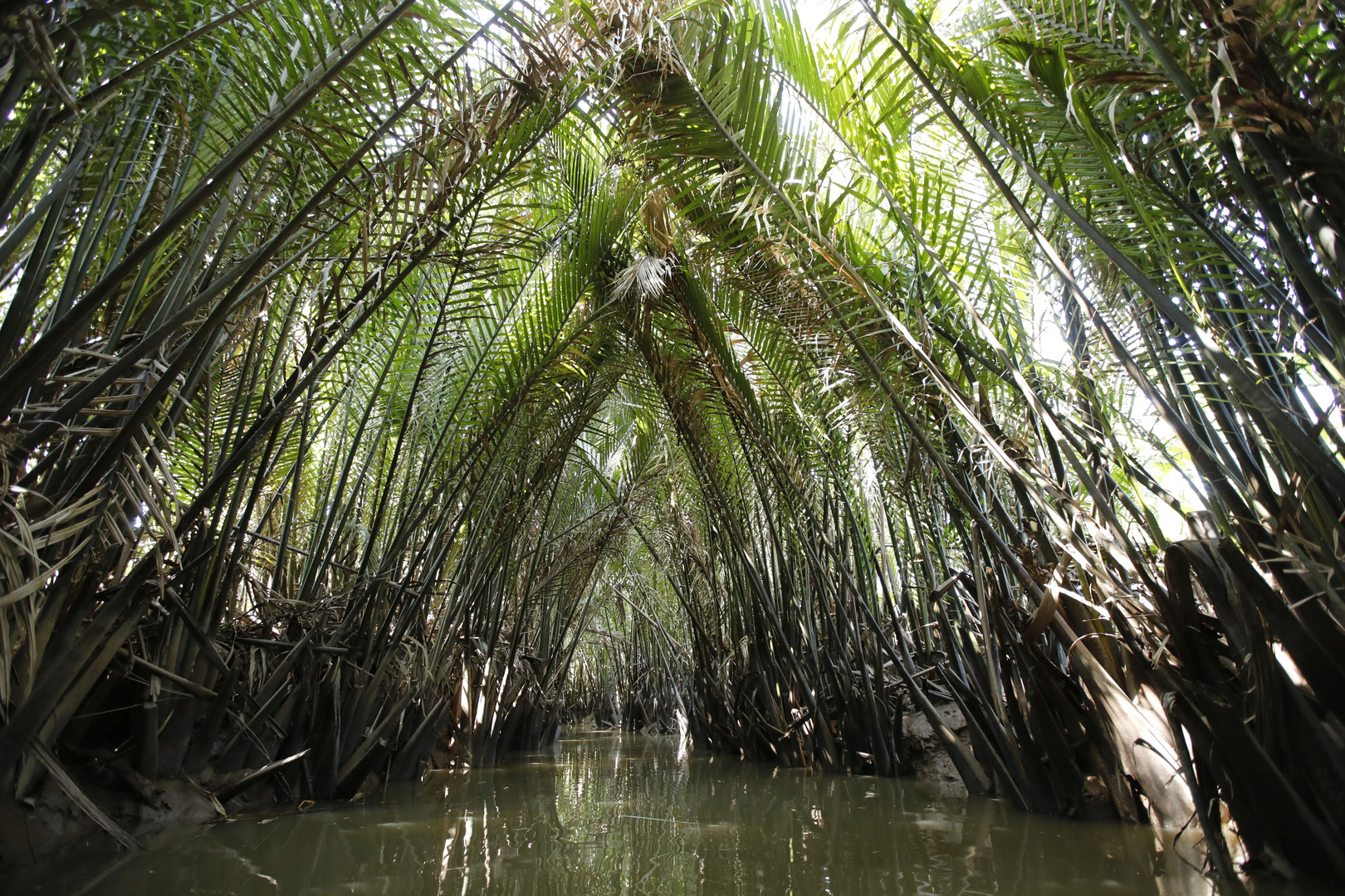 Vietenam Mekong Seitenarm