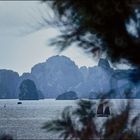 Vietnam 05. Ha Long.