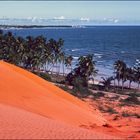 Vietnam 19. Die roten Dünen von Mui Ne.