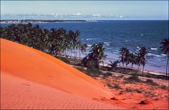 Vietnam 19. Die roten Dünen von Mui Ne.