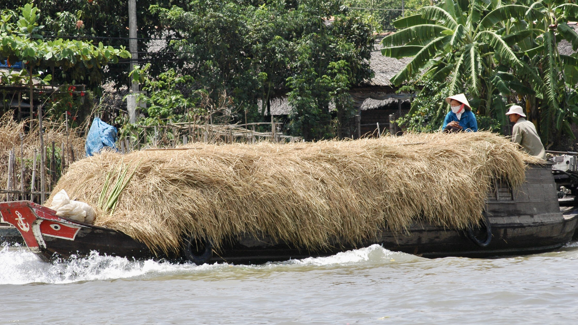 Vietnam (2008), Mekong-Transport