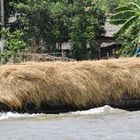 Vietnam (2008), Mekong-Transport