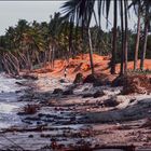 Vietnam 21. Die roten Dünen von Mui Ne.