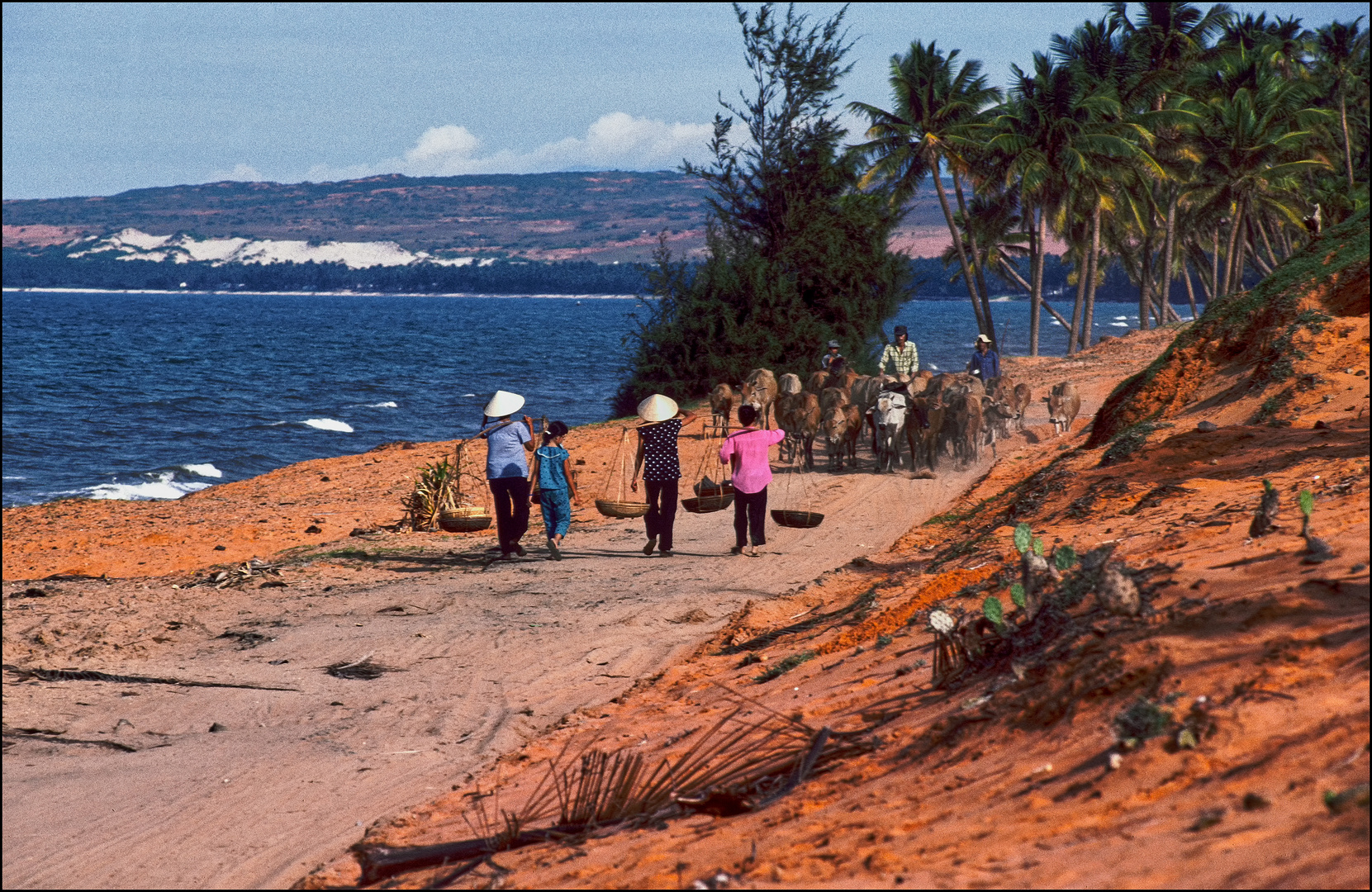 Vietnam 22. Die roten Dünen von Mui Ne.