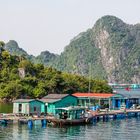 Vietnam [26]