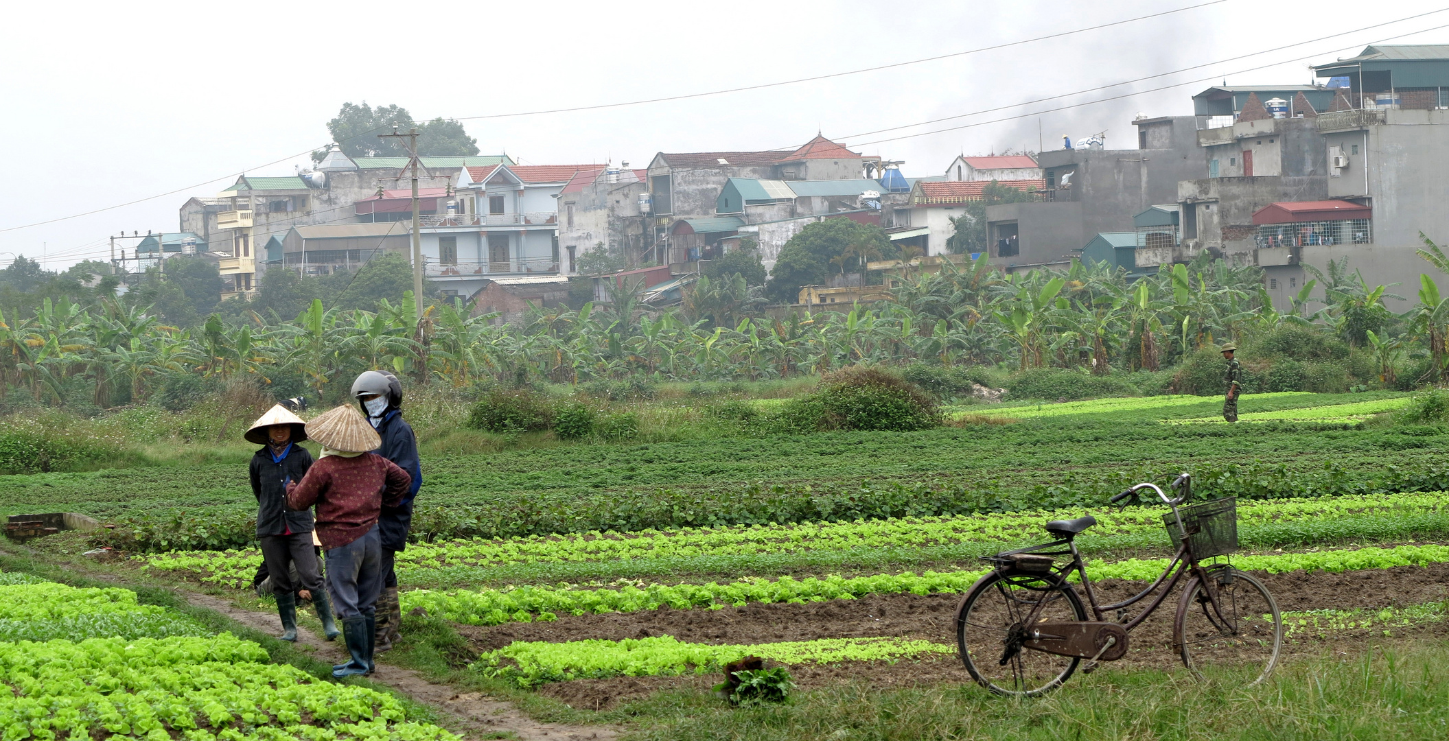 VIETNAM - außerhalb von Hanoi