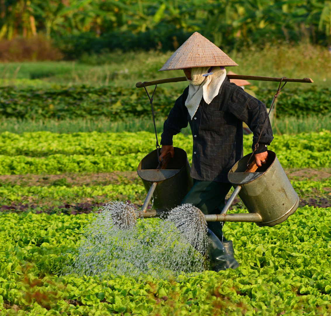 Vietnam, Bäurin