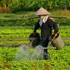 Vietnam, Bäurin