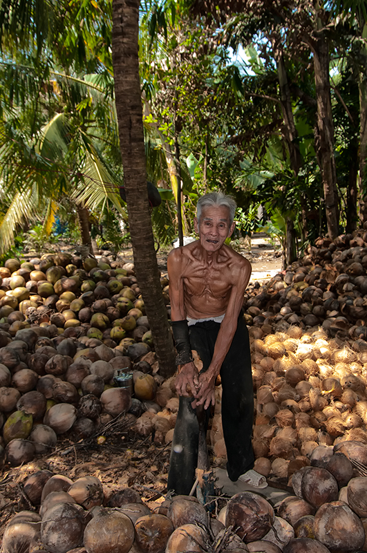 vietnam-coconuts