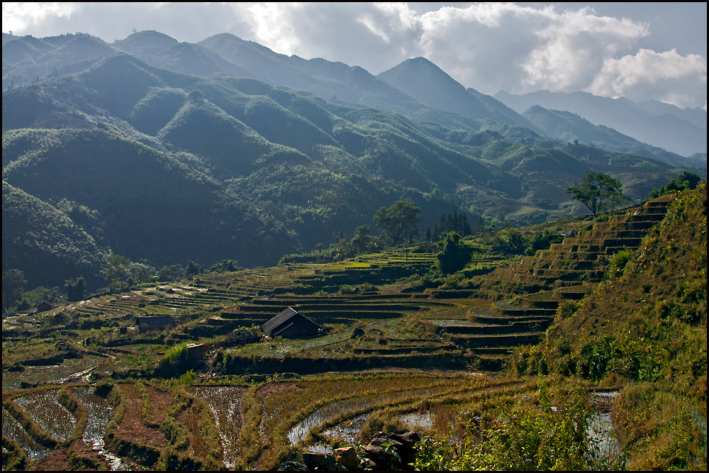 Vietnam- der Norden- Berge & Reisfelder