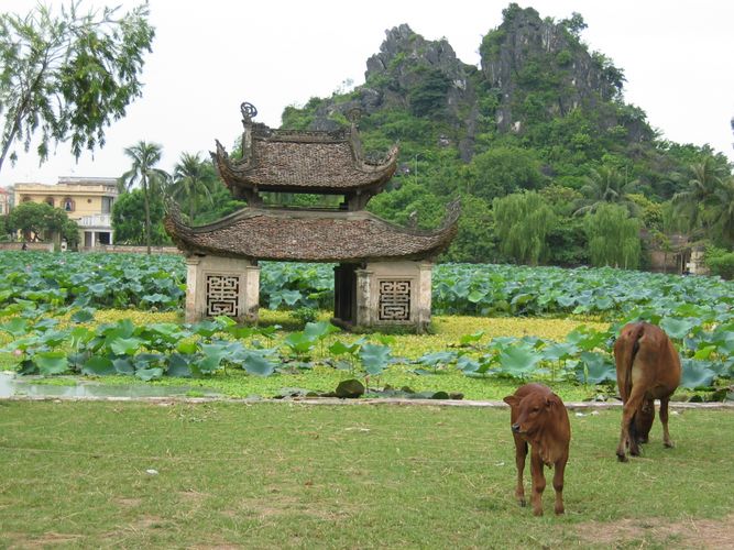 Vietnam - Ein Land geht seinen Weg...