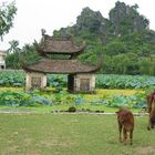 Vietnam - Ein Land geht seinen Weg...