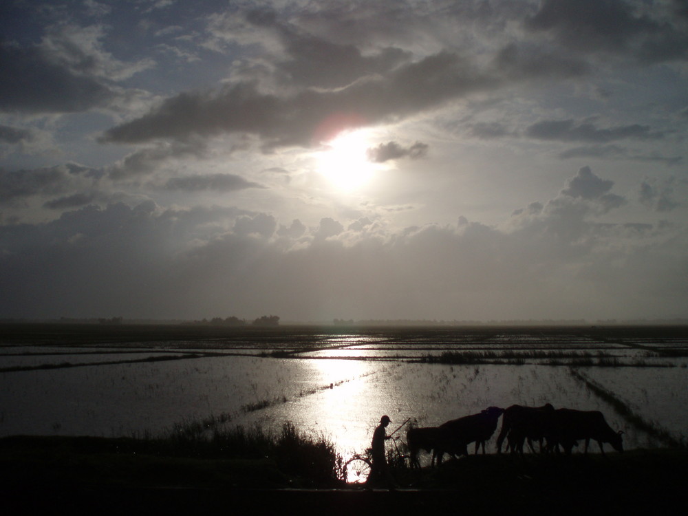 Vietnam - im Land der Kegelhüte