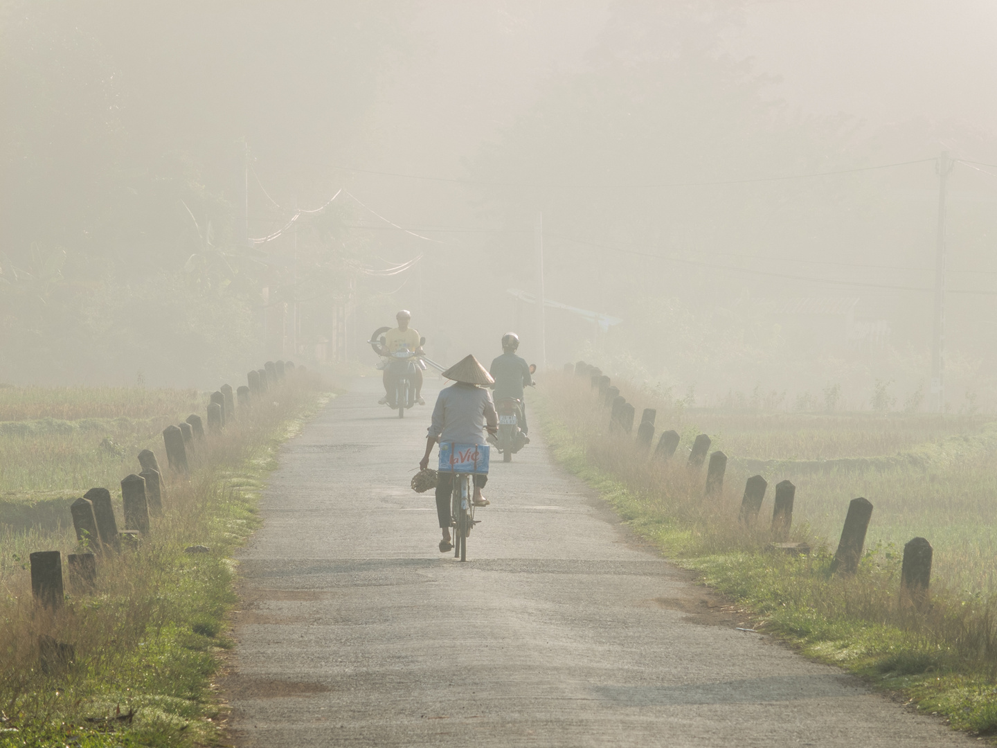 Vietnam im Morgennebel