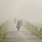 Vietnam im Morgennebel