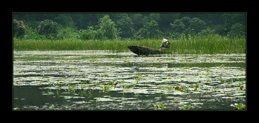 vietnam impression...