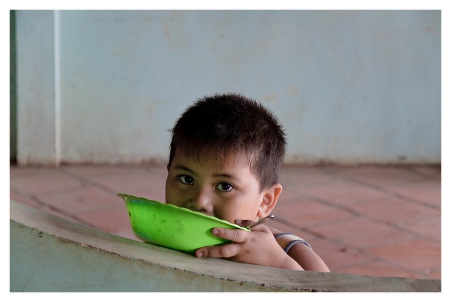 Vietnam - Mekong - Shy Guy