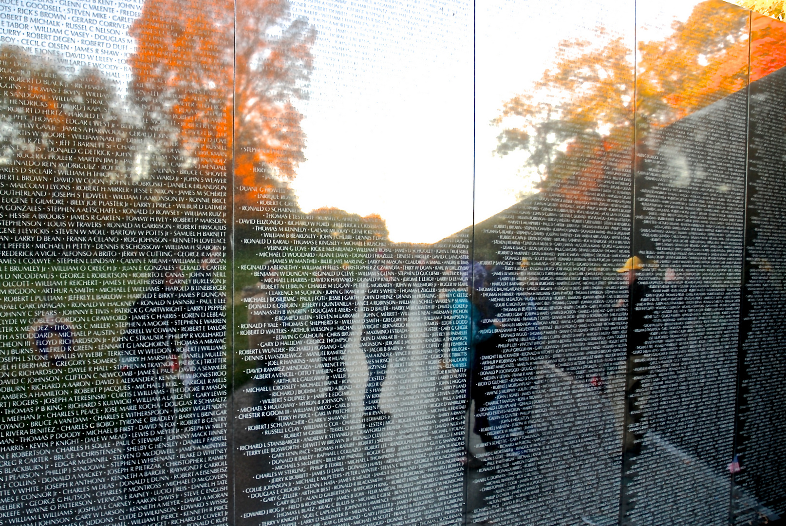 Vietnam Memorial Wall Washington D.C.