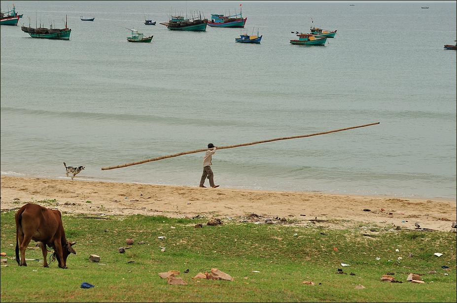 Vietnam, Phu Quoc: Auf dem Weg zur Arbeit (1)