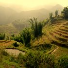 Vietnam - Sapa