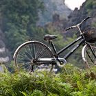 Vietnam - Tam Coc Ninh Binh - Sull'argine