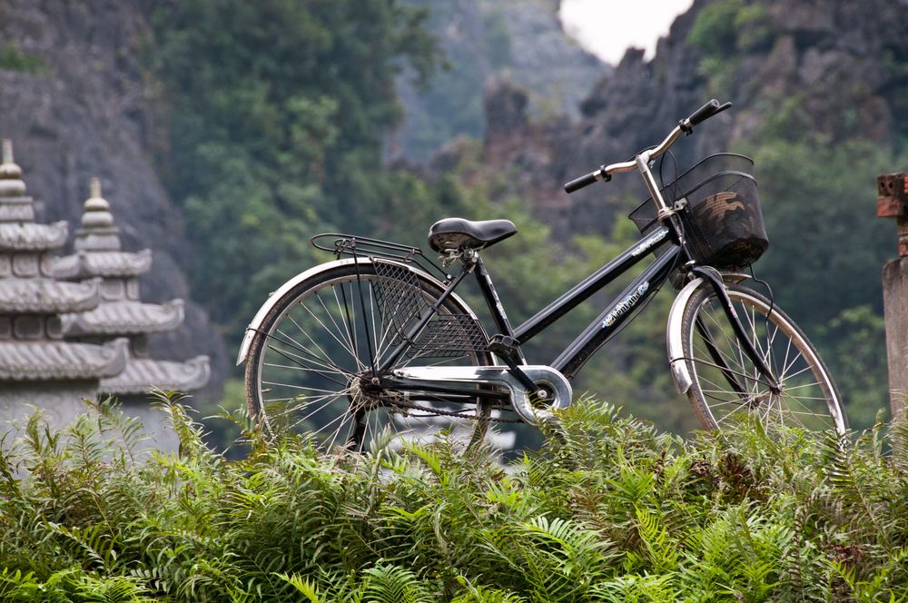 Vietnam - Tam Coc Ninh Binh - Sull'argine