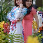 Vietnamese dresses - Ao dai #11