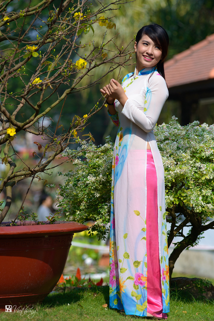 Vietnamese dresses - Ao dai #2