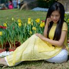 Vietnamese dresses - Ao dai #5