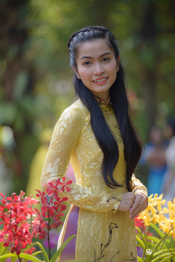 Vietnamese dresses - Ao dai #7