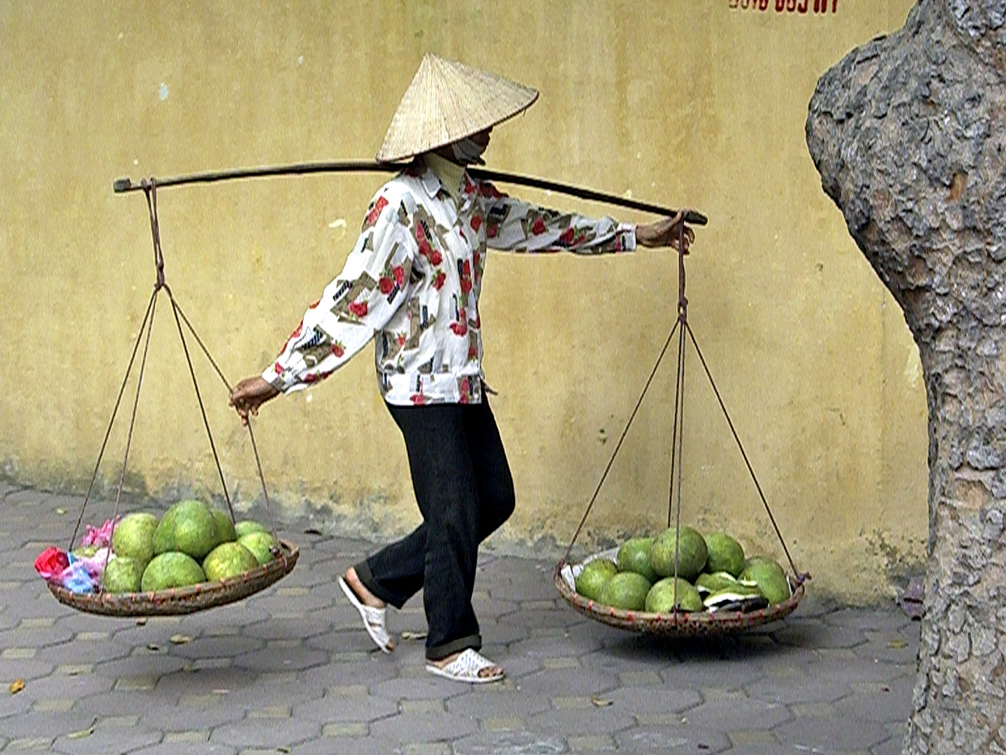 Vietnamese transportation 1