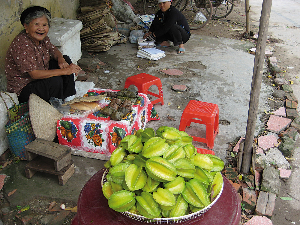 Vietnamesin bietet Ihre Ware an