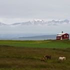 Vieuw at the Eyjafjördur.