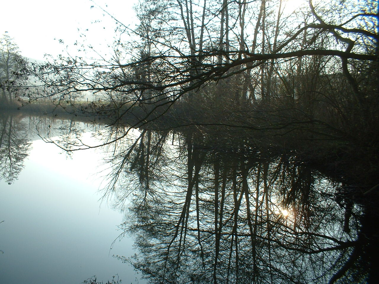 Vieux bras de Sambre devenus étangs de pêche à Floriffoux.