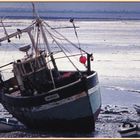 Vieux chalutier à Cancale