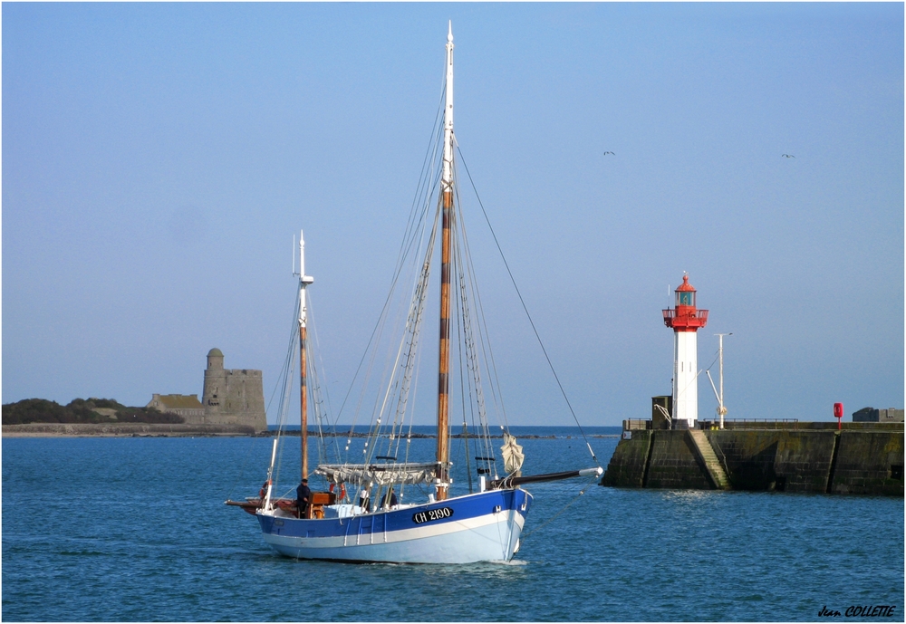 "Vieux copain" à Saint Vaast.