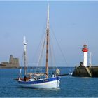 "Vieux copain" à Saint Vaast.