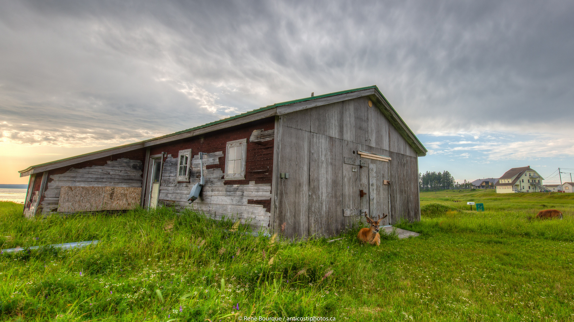 Vieux hangar à Port-Menier, Anticosti