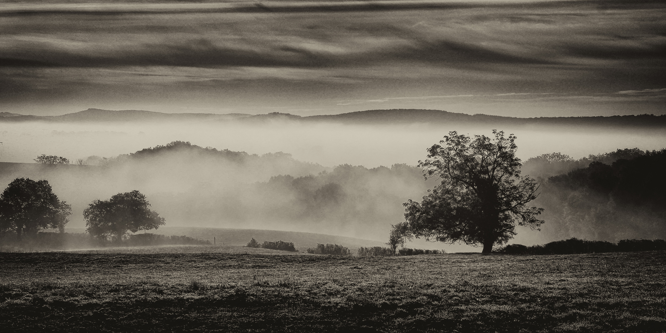 Vieux Morvan...