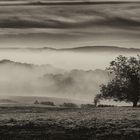 Vieux Morvan...