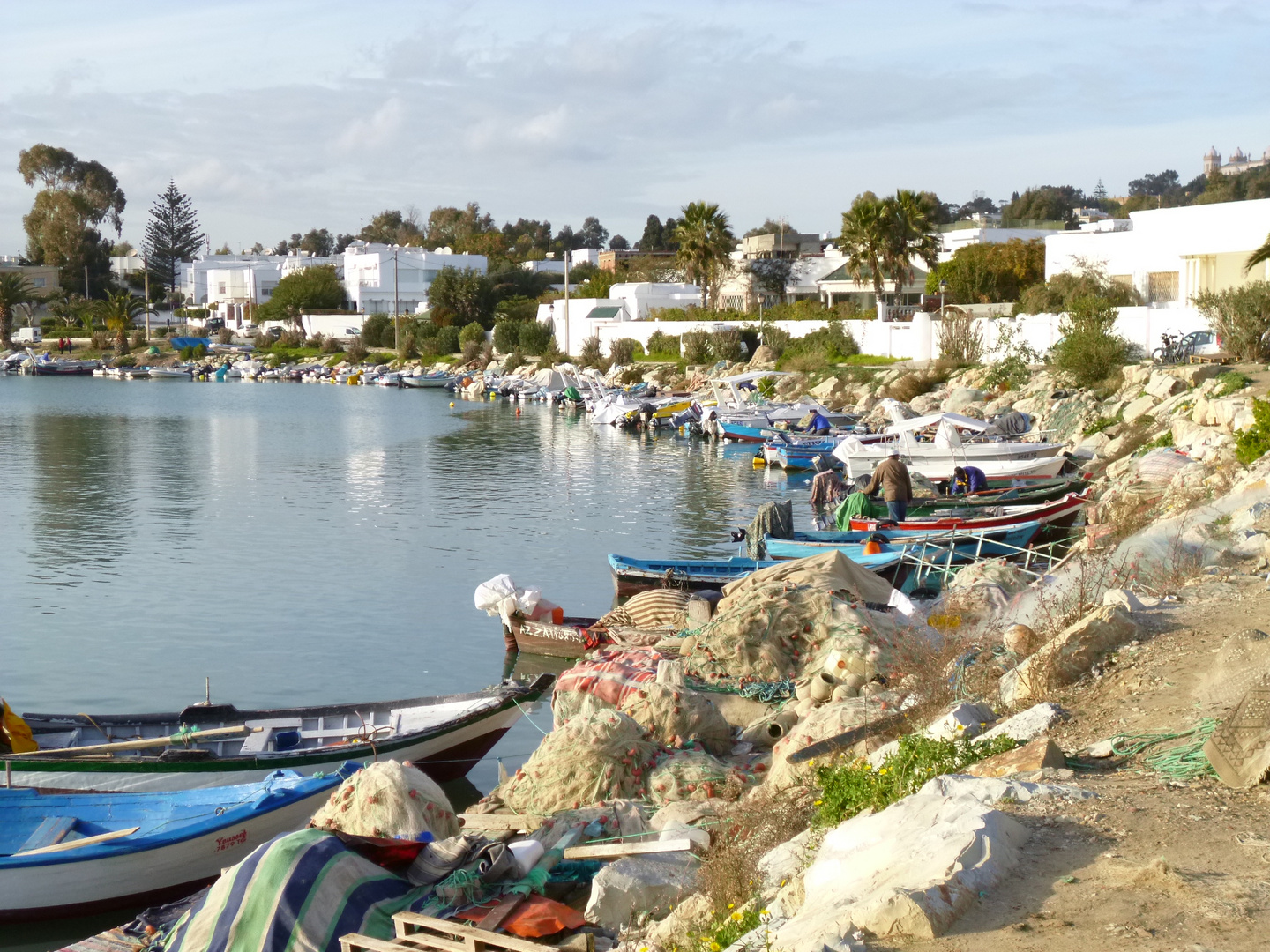 vieux port du carthage