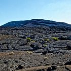 vieux volcan eteint sur le sentier du piton Bert