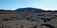 vieux volcan eteint sur le sentier du piton Bert