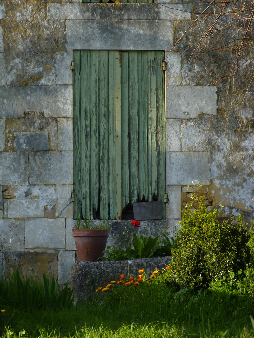 Vieux volet vert.