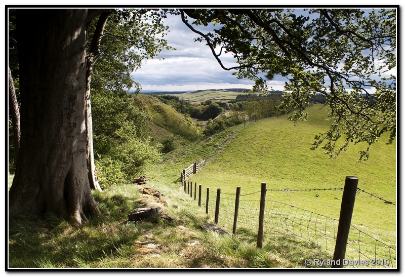 view above scaleber force, yorkshire