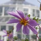 View at the botanic gardens / Impression im Botanischen Garten